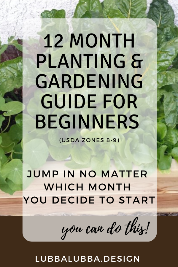 What to plant and when… Use this quick guide to jump into the gardening game no matter what time of year it is!