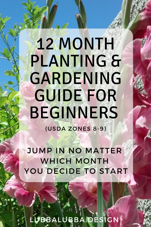 What to plant and when… Use this quick guide to jump into the gardening game no matter what time of year it is!