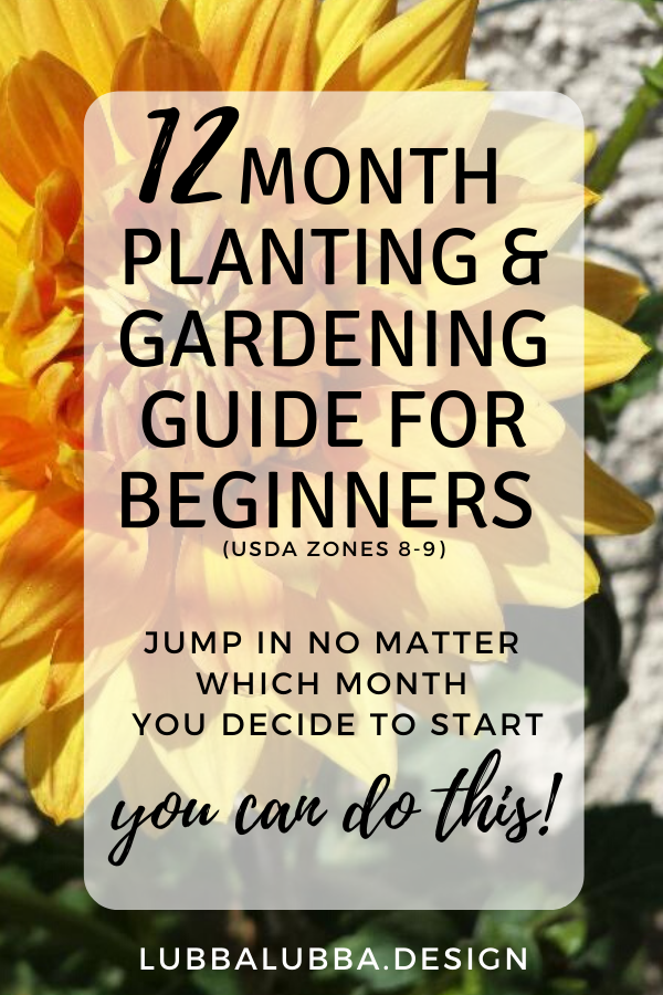 What to plant and when… Use this quick guide to jump into the gardening game no matter what time of year it is!