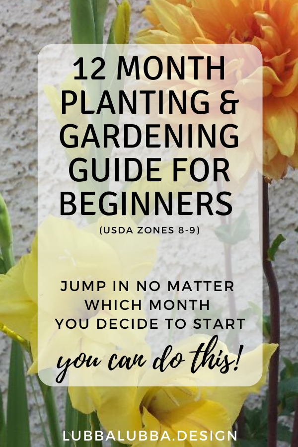 Beginner gardening with confidence. This easy guide shows what goes on each m