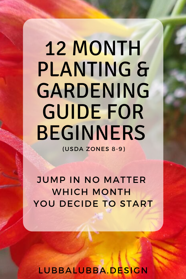 What to plant and when… Use this quick guide to jump into the gardening game no matter what time of year it is!