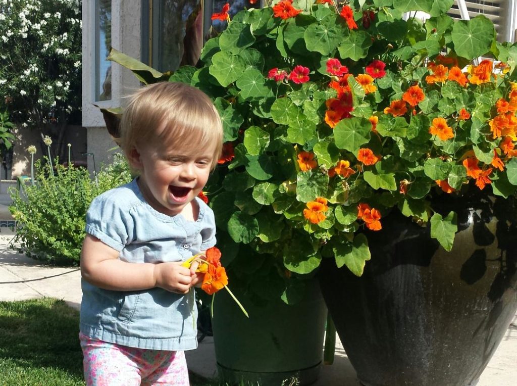 Back yard gardening can be a fun family activity