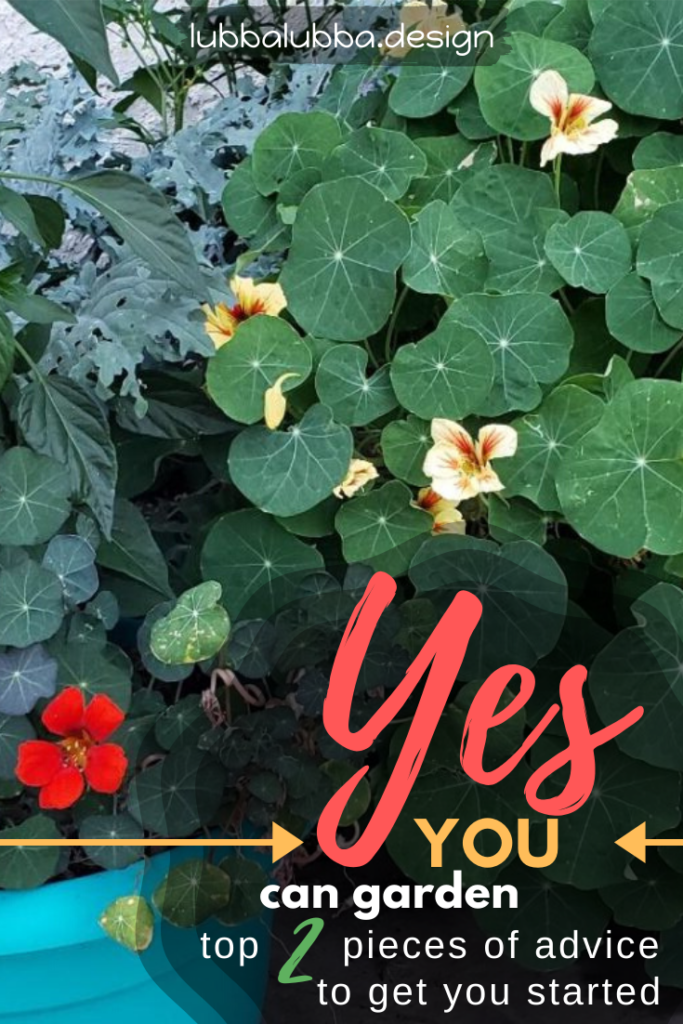 Top 2 garden tips to have you gardening with confidence immediately!