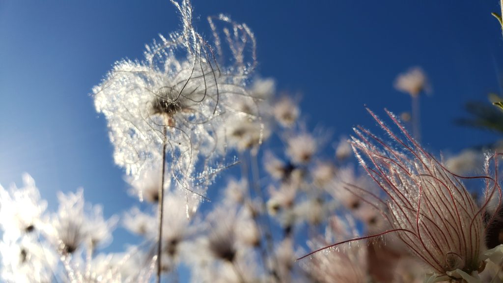 Self Care During COVID-19 Isolation