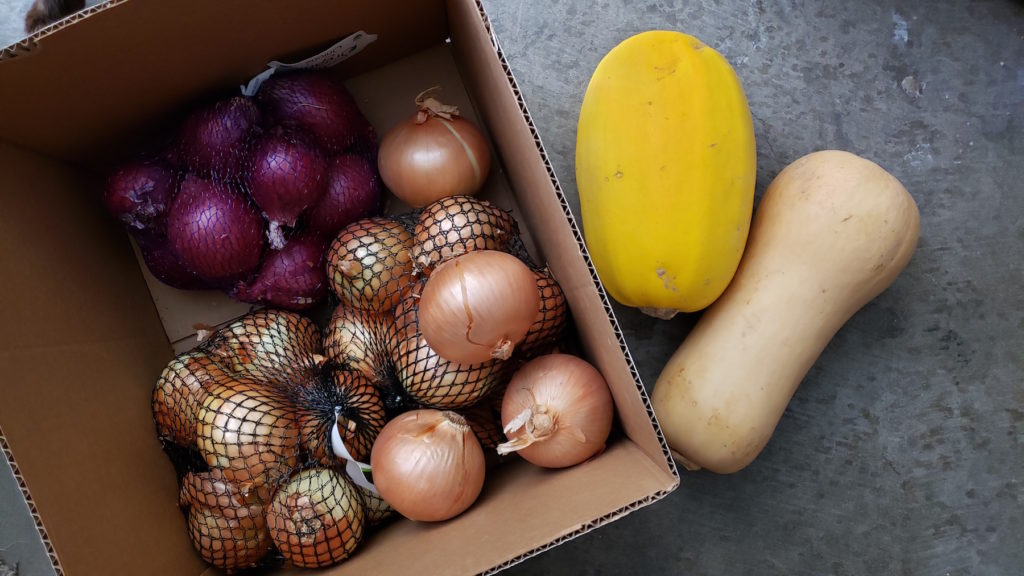 Hands full? Short on time? Roasting or preparing squash could not be easier.  With it’s versatility you’ll want to keep this nutrient packed powerhouse on hand for quick, easy, healthy meals in minutes!