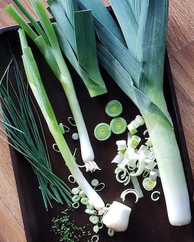 Confused by shallots, scallions, green onions, chives, leeks and more? Dont be!