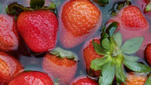 Read more about the article How To- A Beginner’s Guide To Growing Strawberries