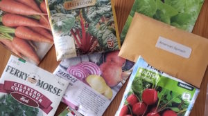 Read more about the article Winter sowing for the beginner gardener