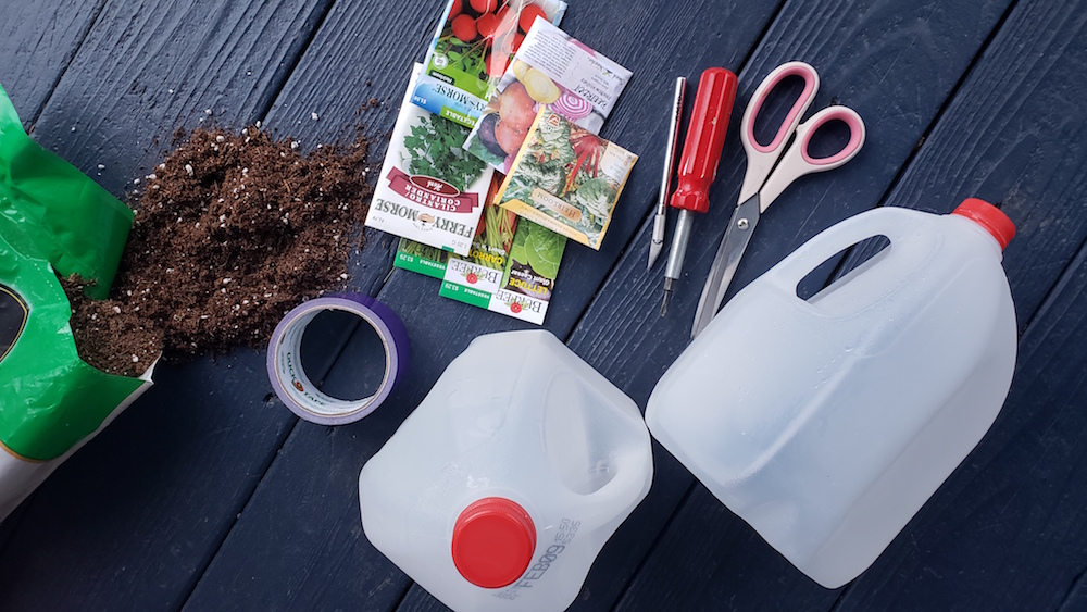 Winter sowing made easy. Seed selection, location, watering, soil, containers and more! Tips & tricks.