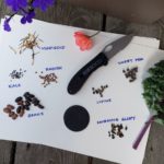 Prepping seeds for successful planting. filing, soaking, direct sowing and more